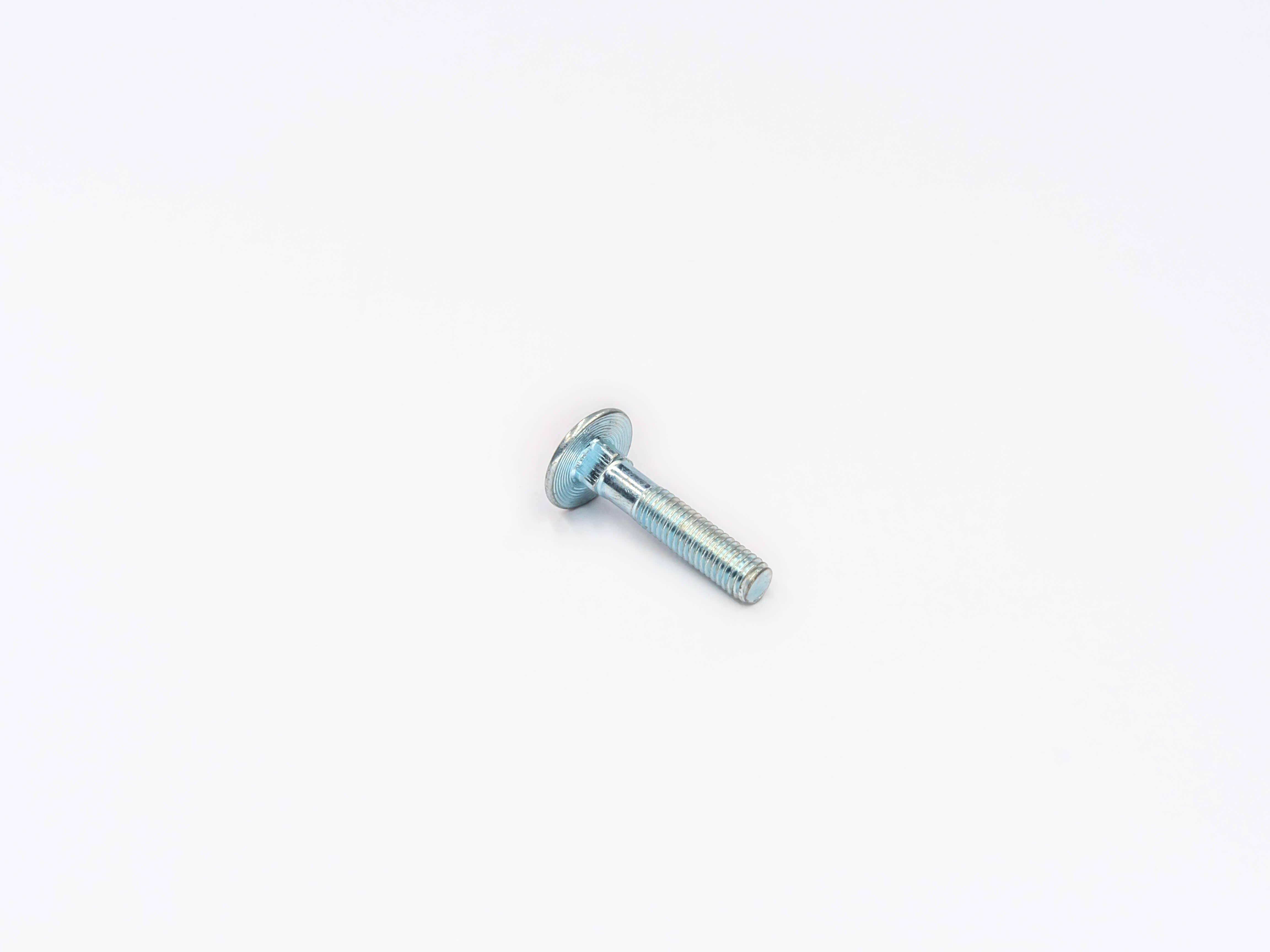 Carriage/ Coach Bolt Image